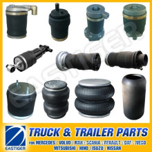 Over 600 Items Truck Parts for Air Spring